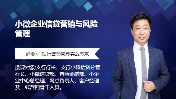 小微企业信贷营销与风险管理