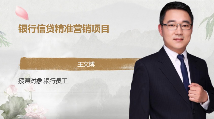银行信贷精准营销项目