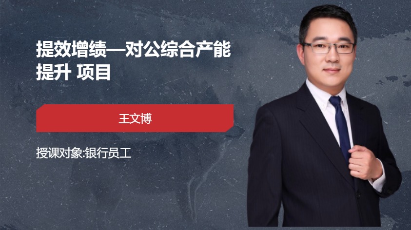 提效增绩-对公综合产能提升 项目
