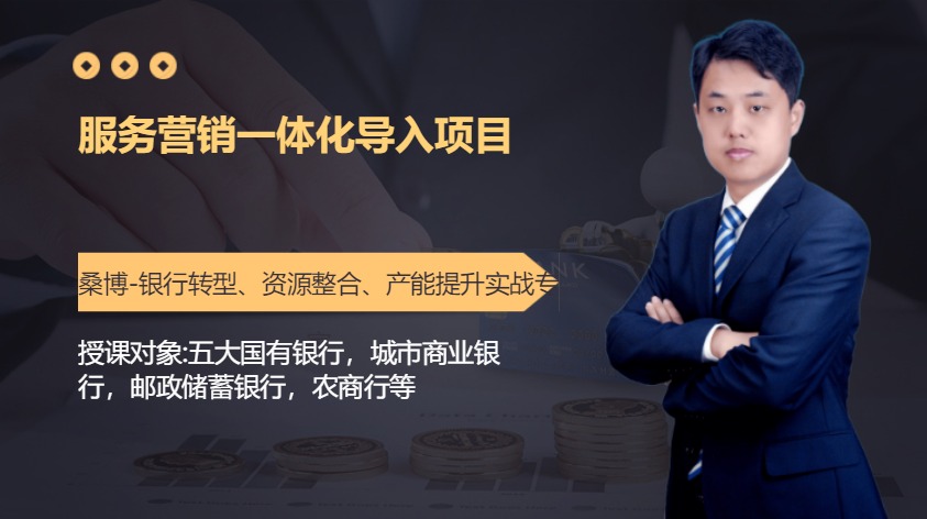 服务营销一体化导入项目