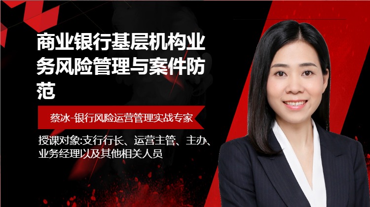 商业银行基层机构业务风险管理与案件防范