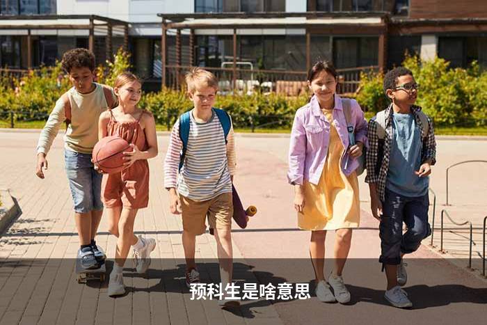 预科生是啥意思