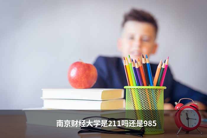 南京财经大学是211吗还是985