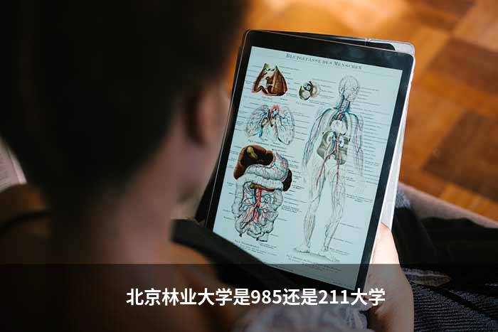 北京林业大学是985还是211大学