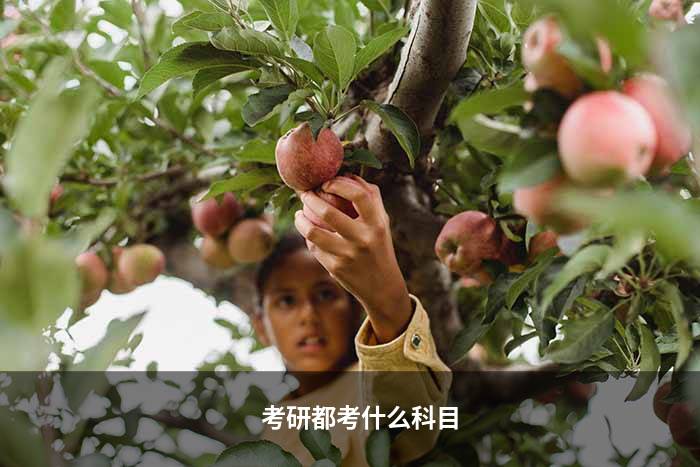 考研都考什么科目,各科目分数是多少