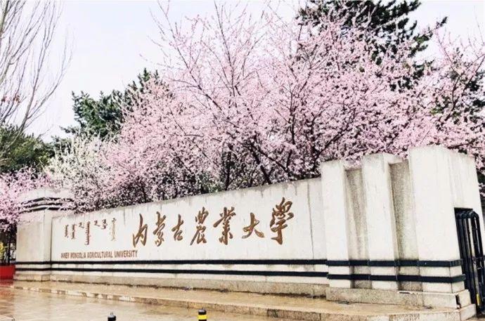 内蒙古农业大学研究生院