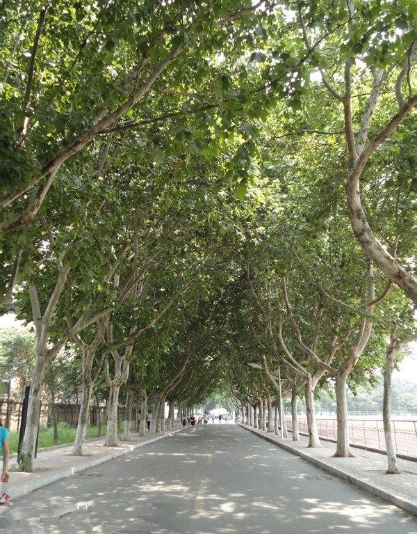 学院建筑