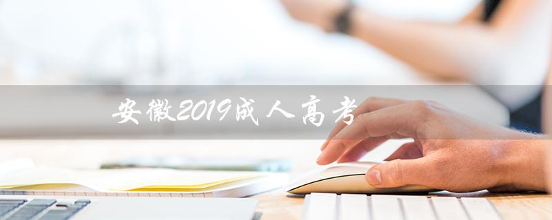 安徽2019成人高考(安徽2019成人高考语文答案是什么)