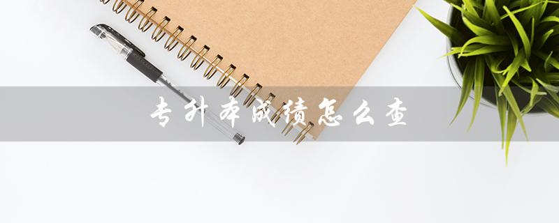 专升本成绩怎么查（2023年专升本成绩查询方法）