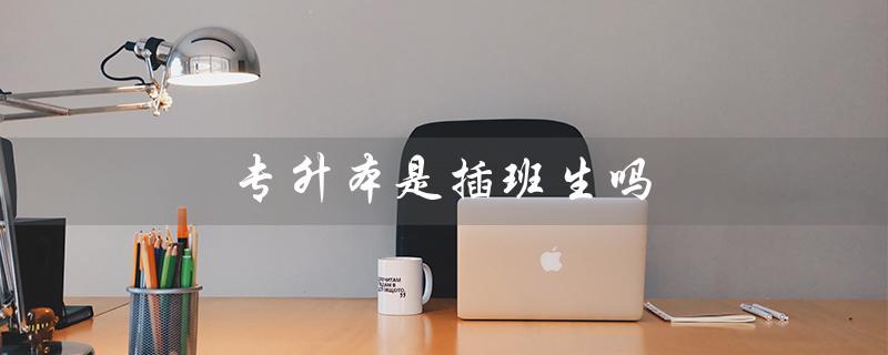 专升本是插班生吗（专升本是插班生吗）