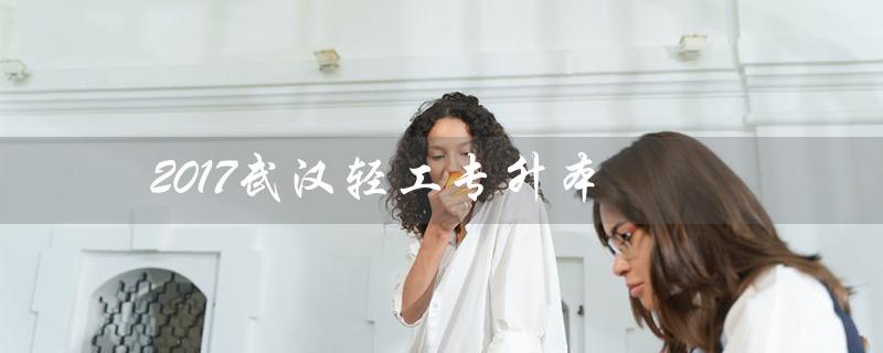 2017武汉轻工专升本（2017武汉纺织大学专升本英语真题是什么）