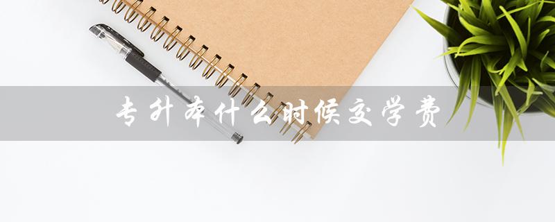 专升本什么时候交学费(河北科技师范学院专升本交学费时间)