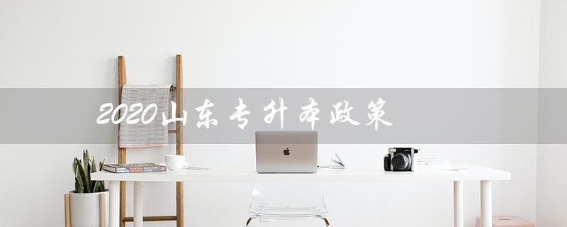 2020山东专升本政策（山东2020专升本政策有何变化）