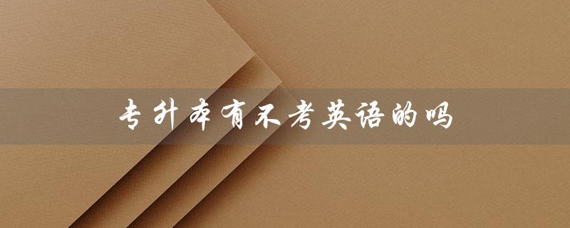 专升本有不考英语的吗（英语差能否专升本）