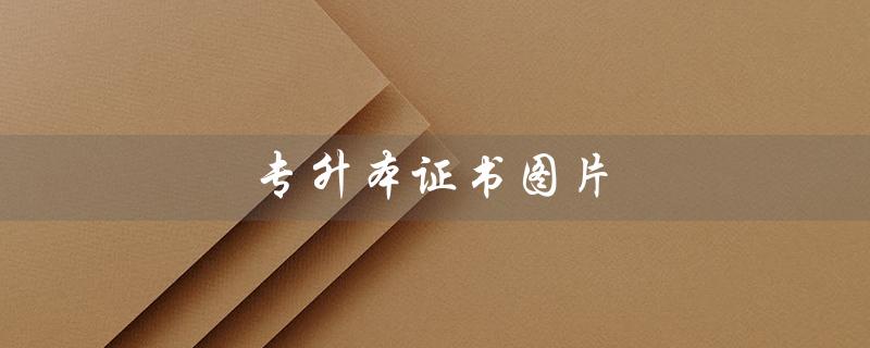 专升本证书图片（专升本证书同普本证书吗）