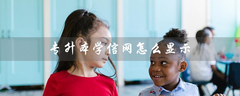 专升本学信网怎么显示（怎样在学信网显示图片）