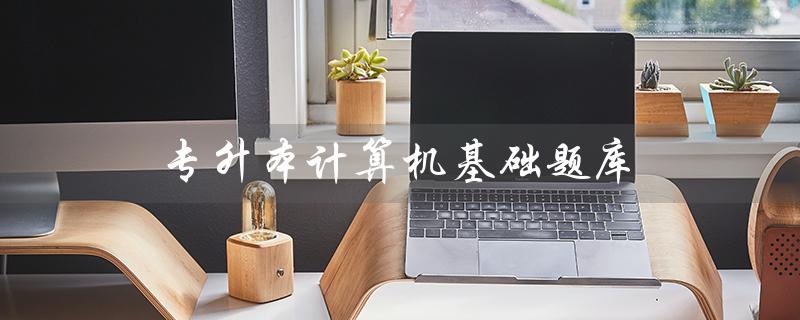 专升本计算机基础题库（计算机基础题库app是什么）