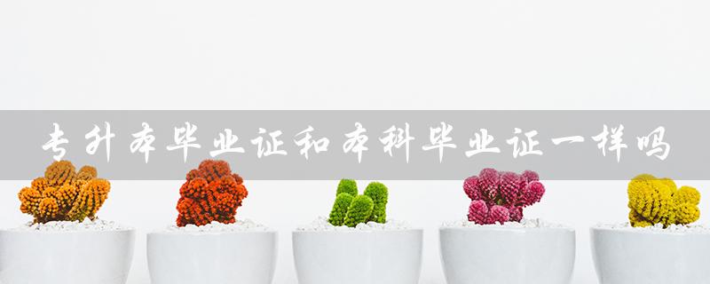 专升本毕业证和本科毕业证一样吗(成人专升本与本科毕业证同吗)