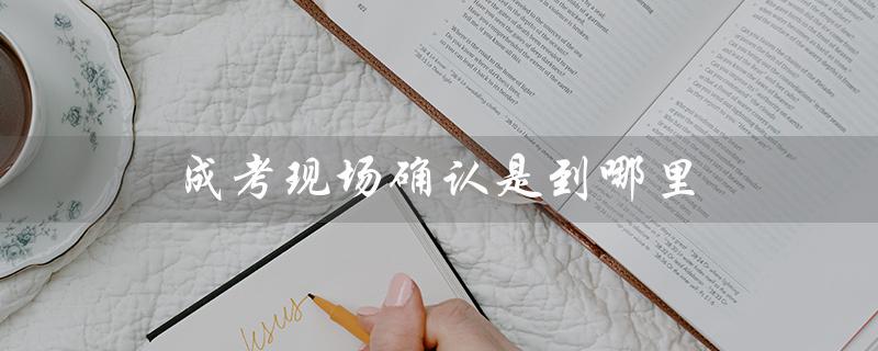 成考现场确认是到哪里(成考现场确认在哪儿)