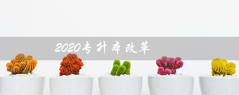 2020专升本改革（2020专升本改革几年）