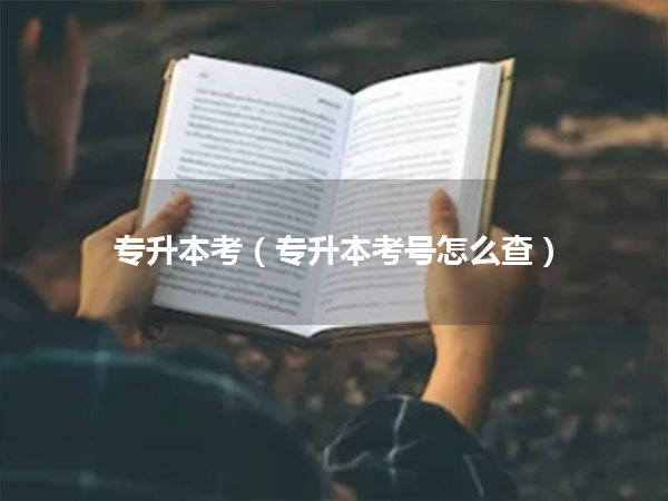 专升本考(专升本考号怎么查)