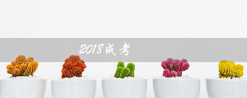2018成考（2018年成考语文真题是什么）