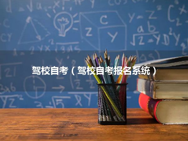 驾校自考(驾校自考报名系统)