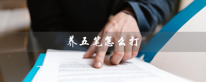 养五笔怎么打（如何养成五笔打字技能）