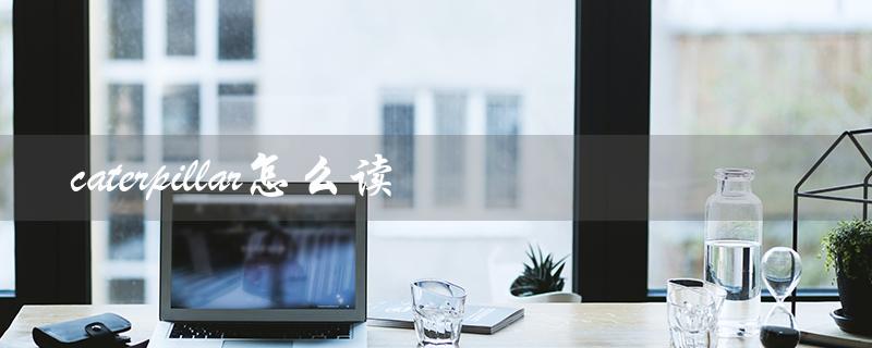 caterpillar怎么读(如何正确发音caterpillar)