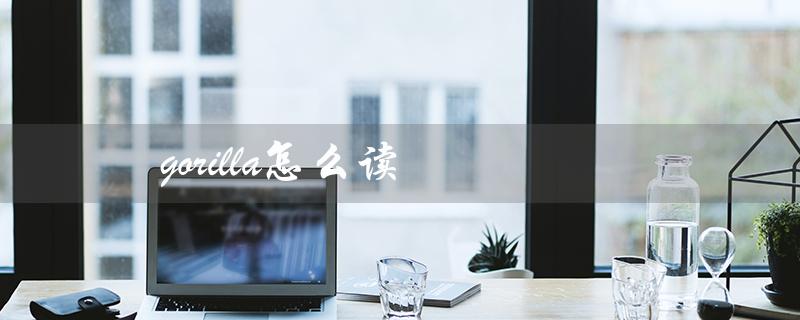 gorilla怎么读（gorilla读音是什么）