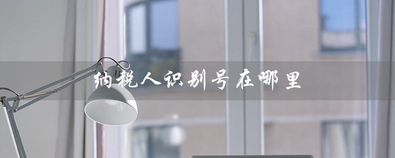 纳税人识别号在哪里（纳税人识别号如何查询）
