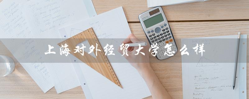 上海对外经贸大学怎么样（上财大怎么样）