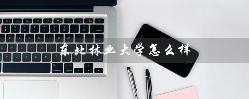东北林业大学怎么样（东北林业大学就业前景如何）