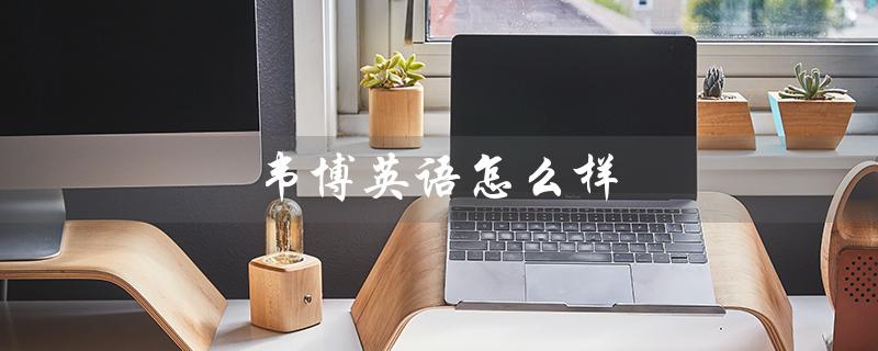韦博英语怎么样（新东方雅思班价格是多少）