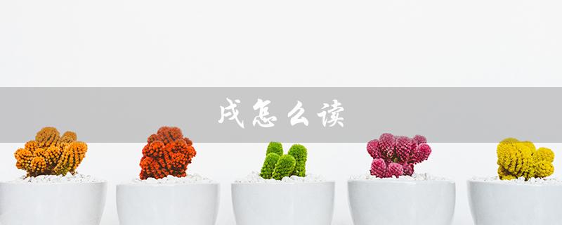 戌怎么读(戌的读音是什么)