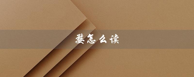 婺怎么读(婺怎么读)