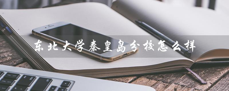 东北大学秦皇岛分校怎么样(东北大学秦皇岛分校好不好)