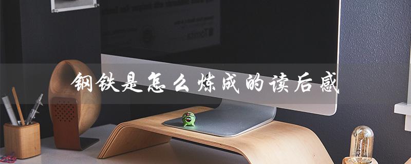 钢铁是怎么炼成的读后感（怎样炼成钢铁）