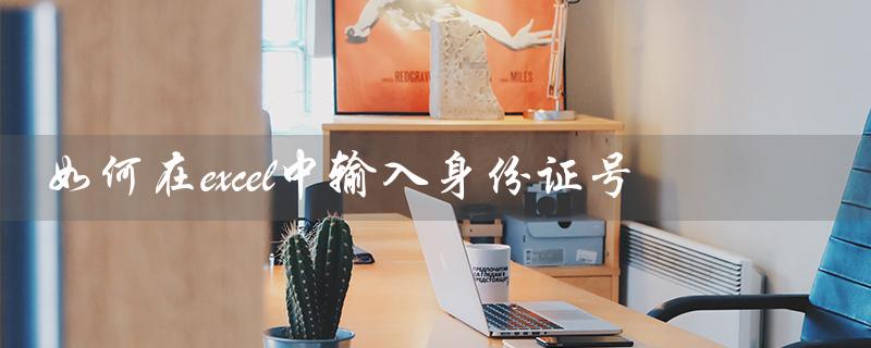 如何在excel中输入身份证号（Excel如何输入身份证）