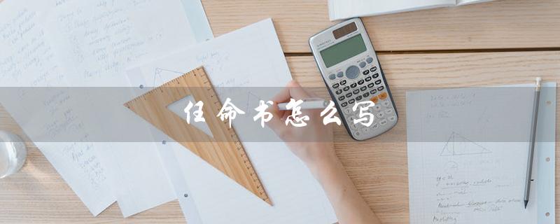 任命书怎么写（人员任命书如何写）