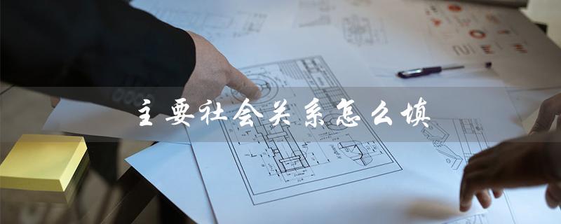 主要社会关系怎么填(家庭成员及社会关系如何填)