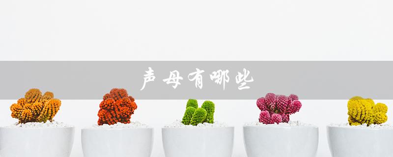 声母有哪些（声母有几个）