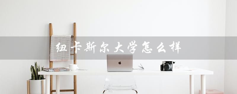 纽卡斯尔大学怎么样(新加坡纽卡斯尔大学怎么样)