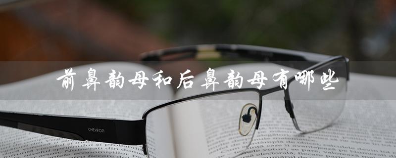 前鼻韵母和后鼻韵母有哪些(前后鼻韵母有哪些)