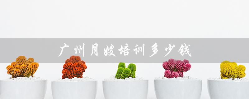 广州月嫂培训多少钱（广州有哪些家政培训机构）
