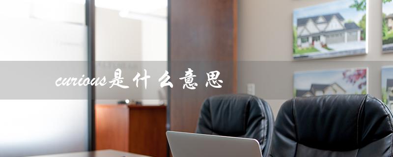 curious是什么意思(什么是incurious)