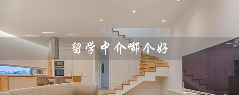 留学中介哪个好(艺术留学中介哪家好)