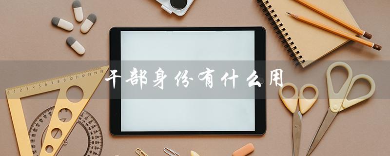 干部身份有什么用（国企干部身份有何用）