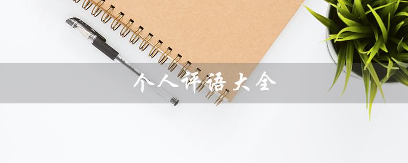个人评语大全（个人评语大全20字怎么写）