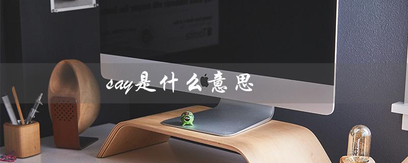 say是什么意思（say的意思是什么）
